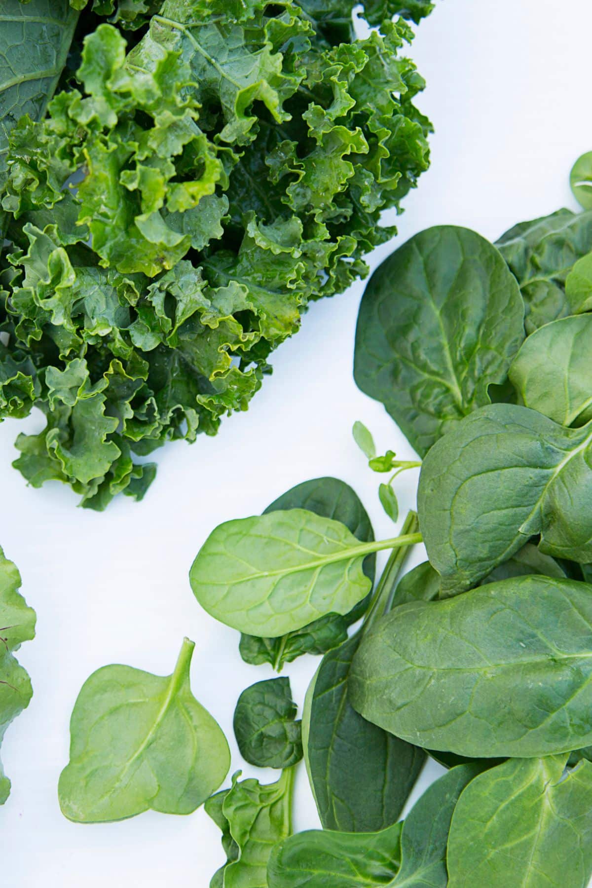 kale and spinach on a white background.