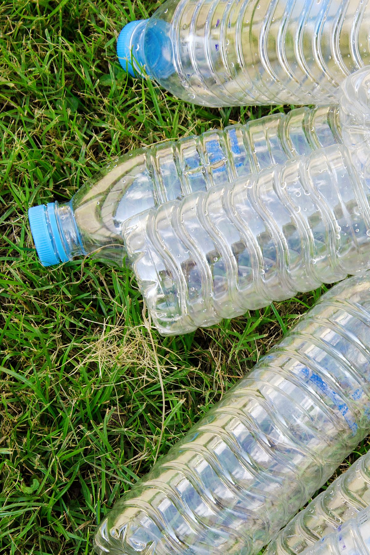 used plastic bottles laying in the grass.