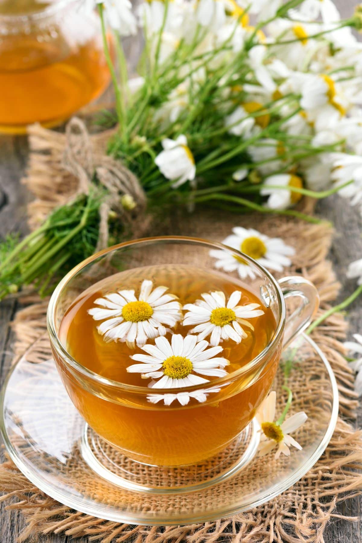 a cup of chamomile tea on a table.