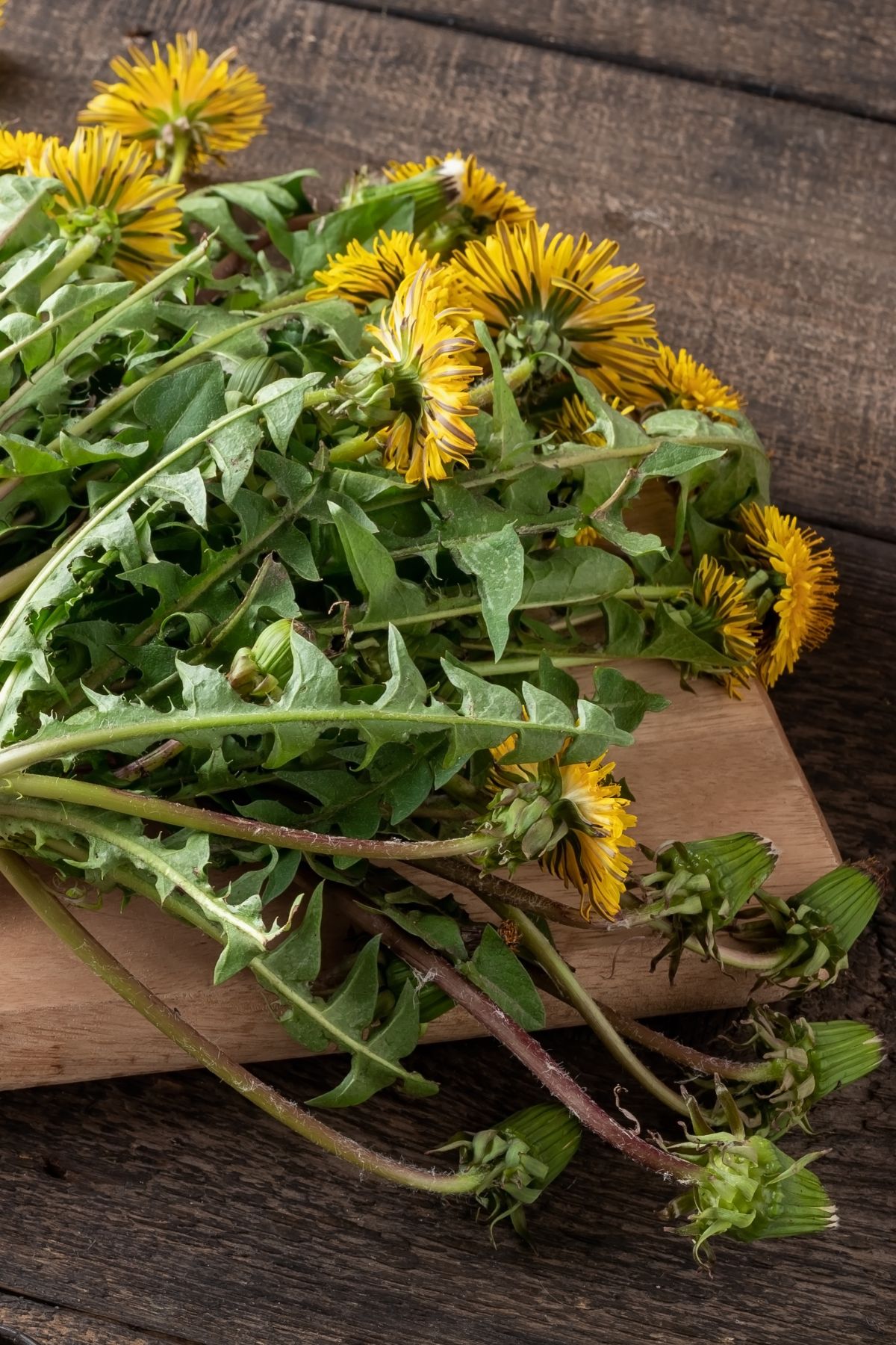 dried dandelion plant on a cutting board.