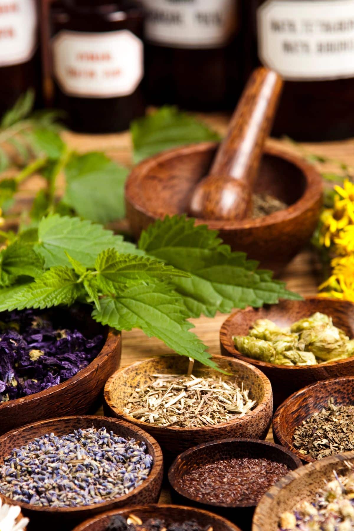 a variety of dried herbs in wooden bowls.