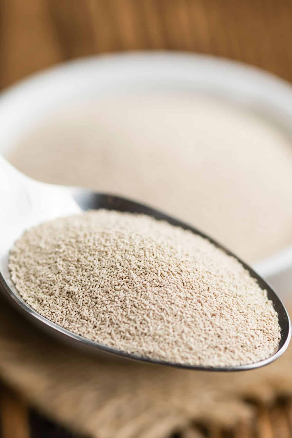 a spoon of dry yeast.