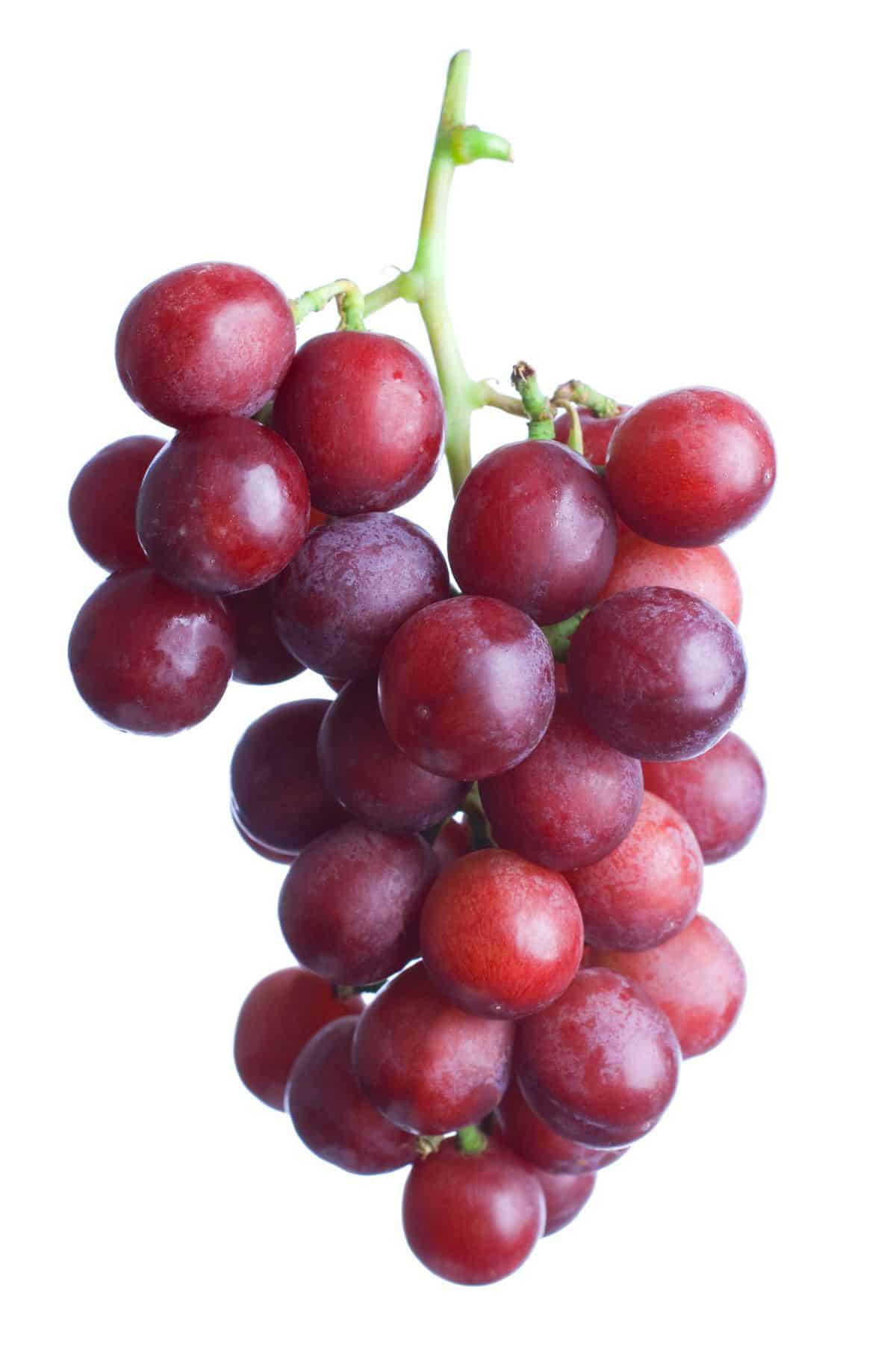 a grape cluster on the vine.