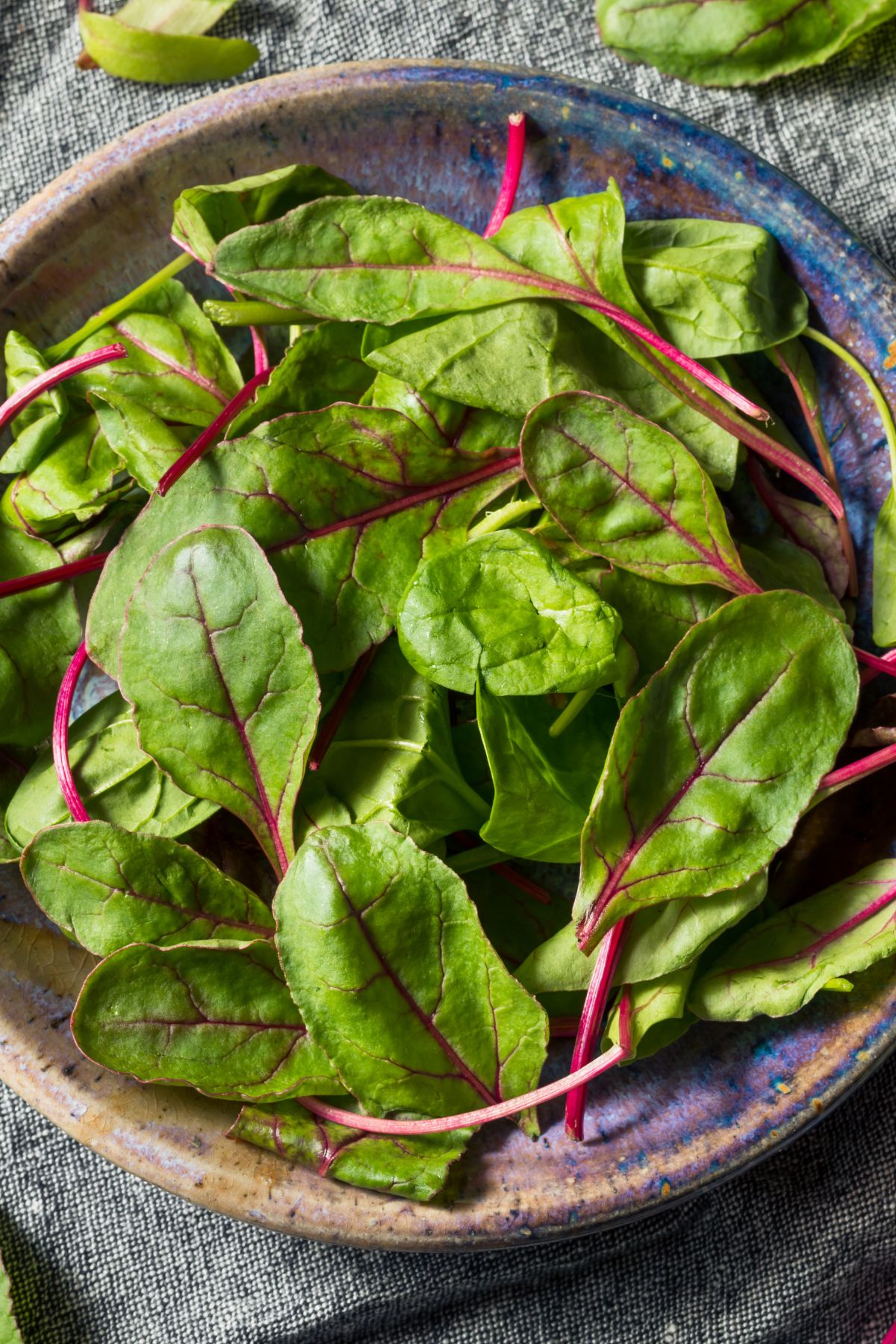 beet greens in bowl.