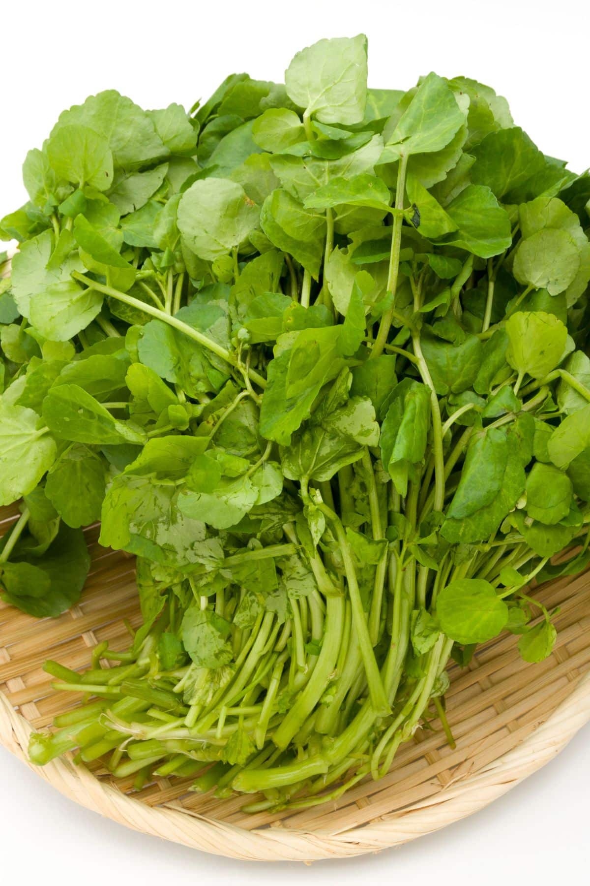 watercress on table.