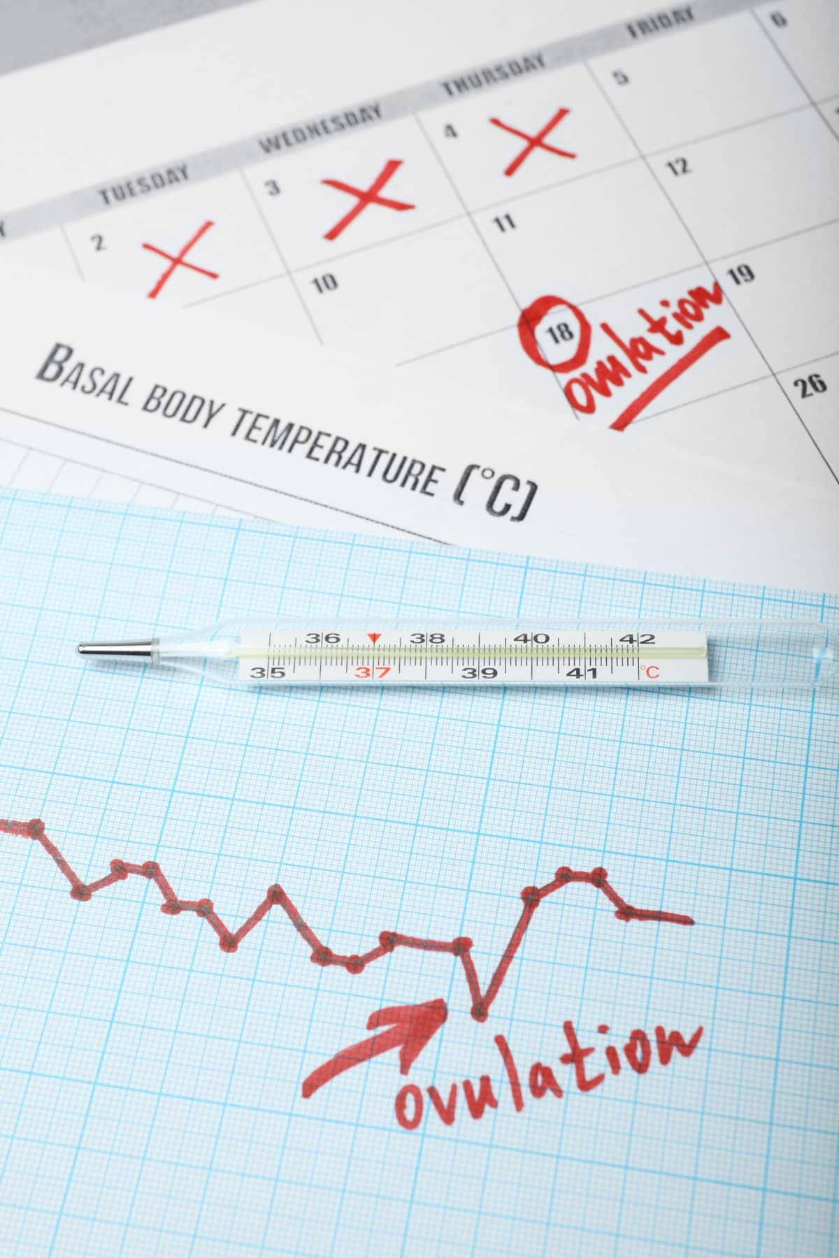 chart measuring body temperature and ovulation timing.