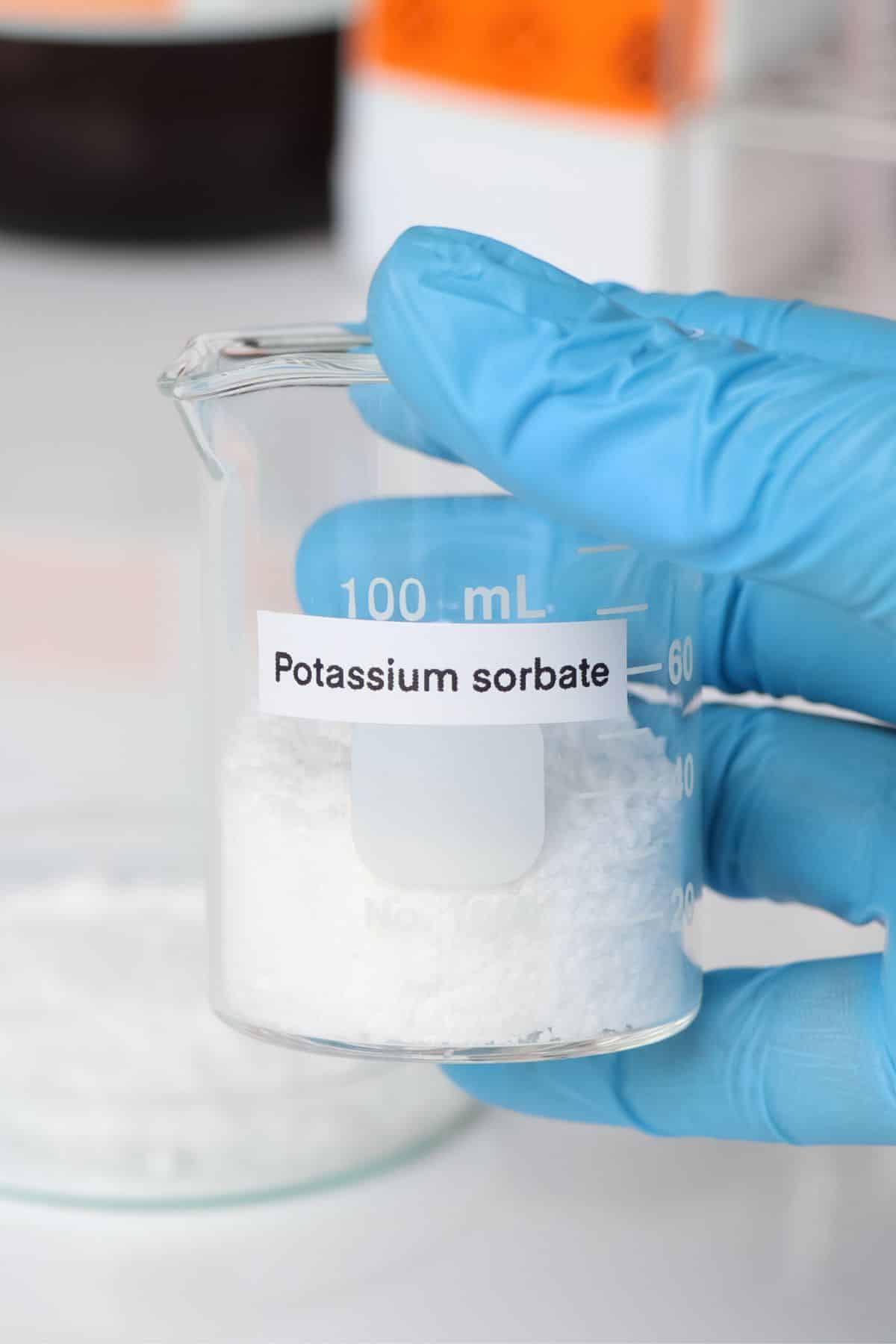 a person wearing gloves while holding a beaker of potassium sorbate.