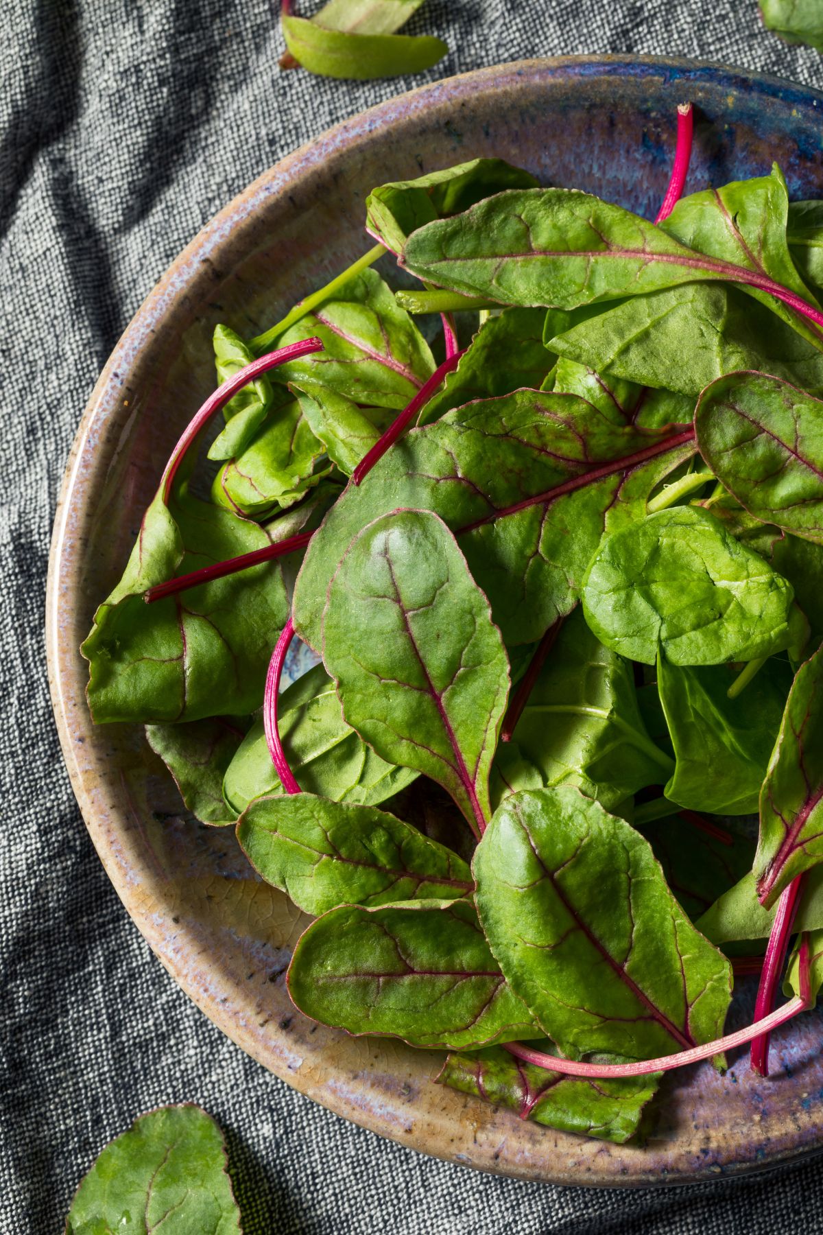 photo of beet greens on table.