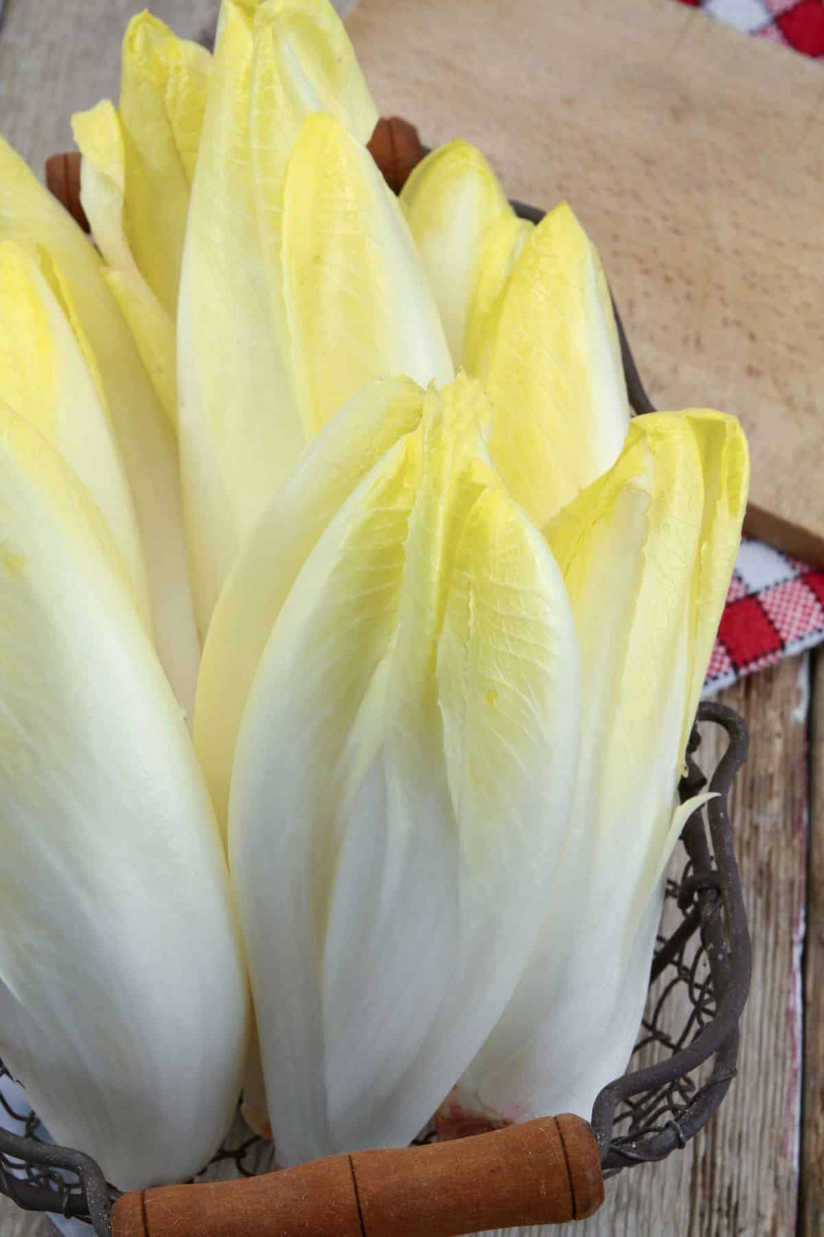 photo of endive on table.