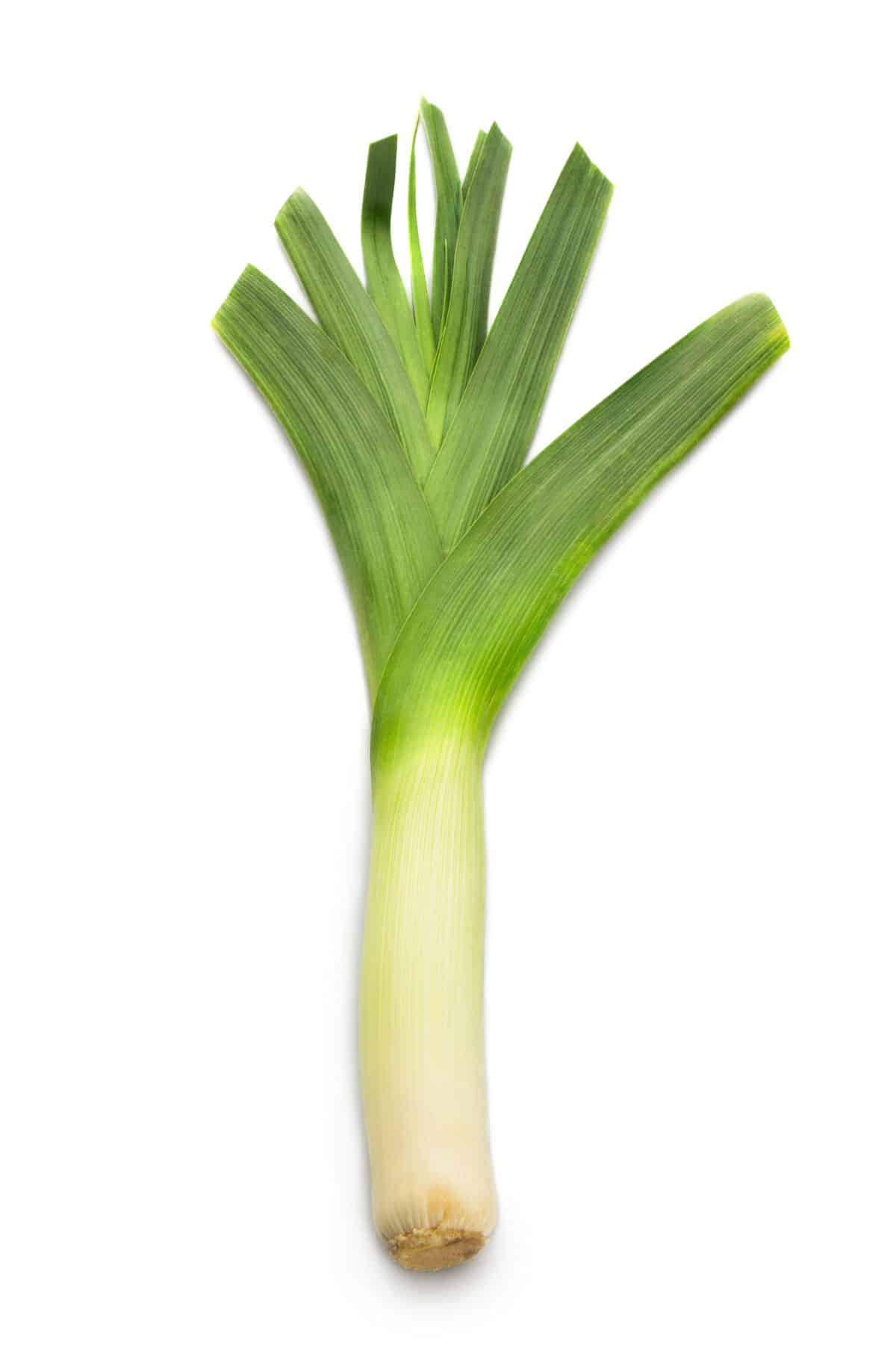 photo of leek on table.