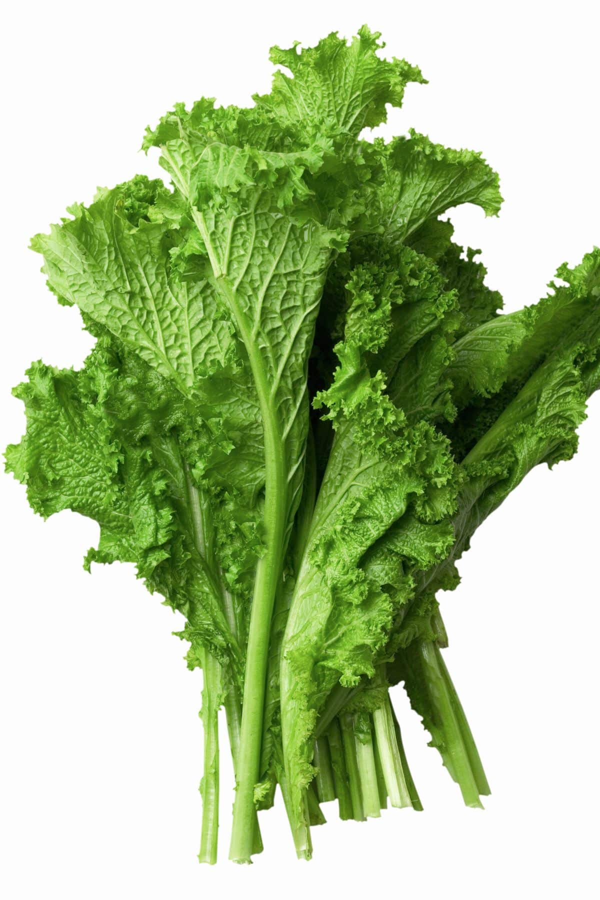 photo of mustard greens on table.