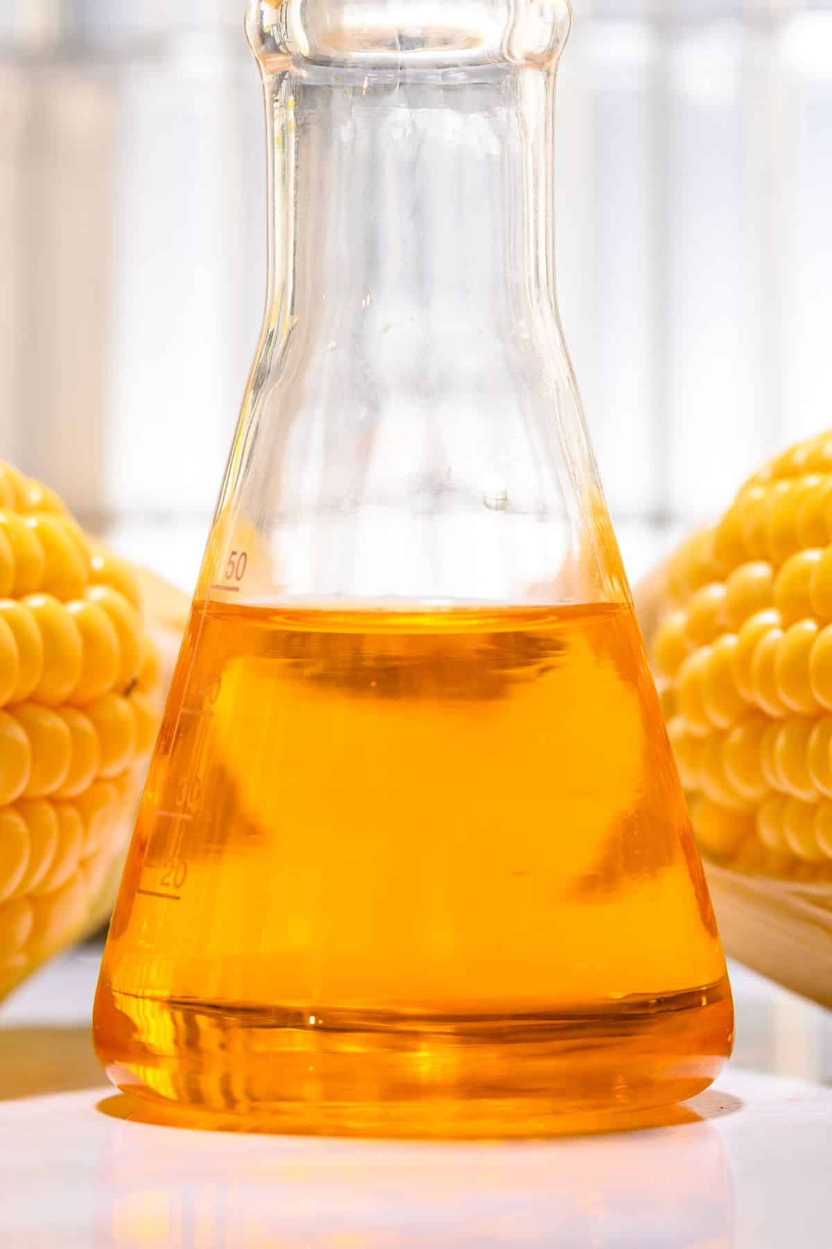 a beaker of corn syrup next to ears of corn.