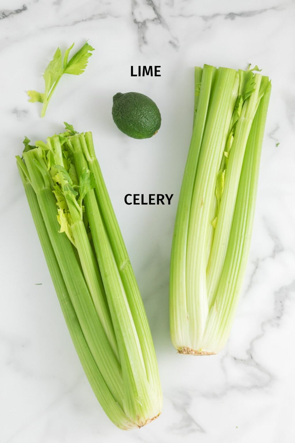 Celery Juice Recipe (Juicer or Blender) Clean Eating Kitchen