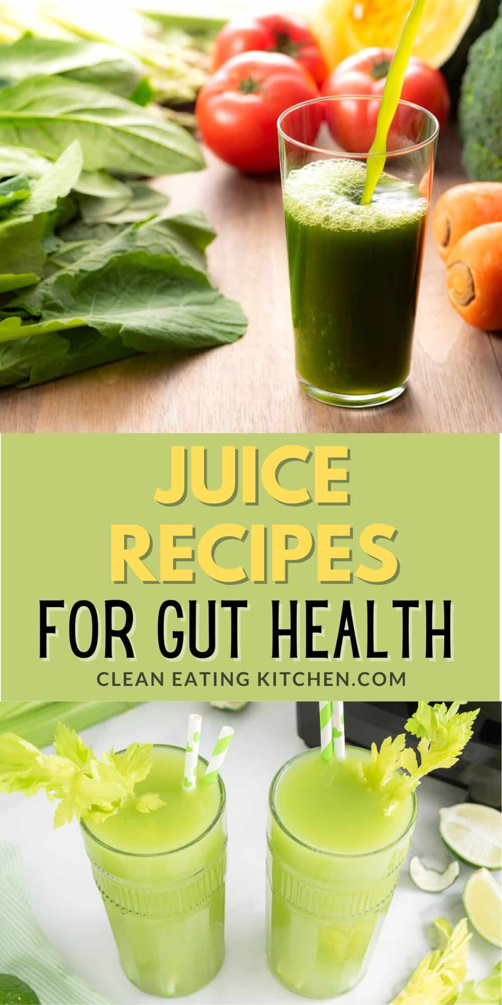 10+ Juicer Recipes For Gut Health & Digestion Clean Eating Kitchen