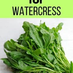 best subs for watercress pin.