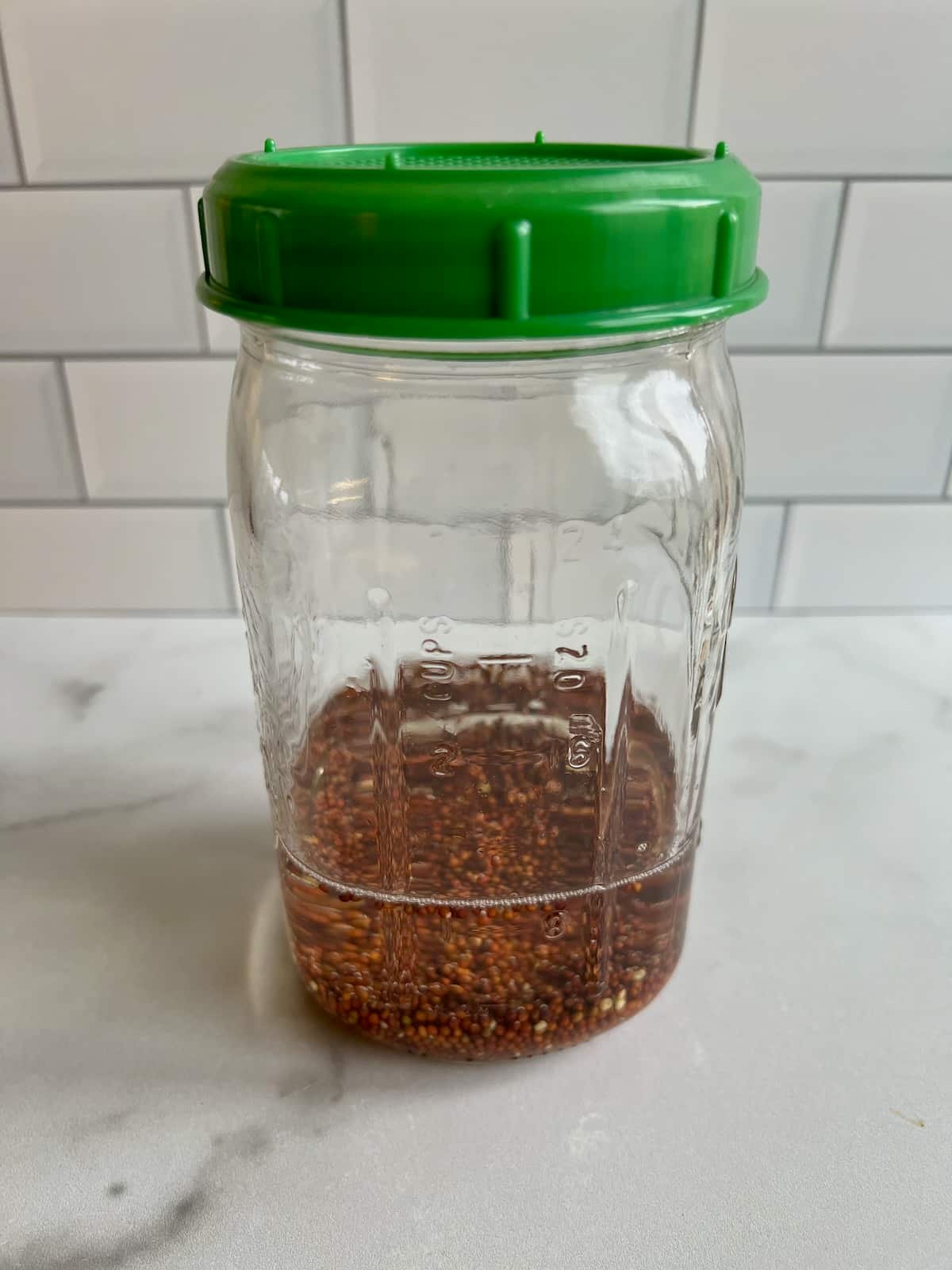 broccoli seeds in jar with sprouting lid.