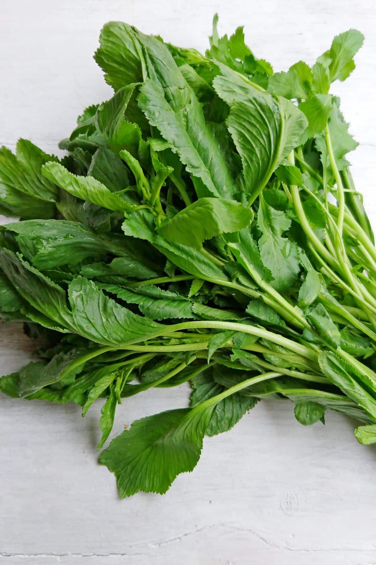 bunch of fresh watercress on table.