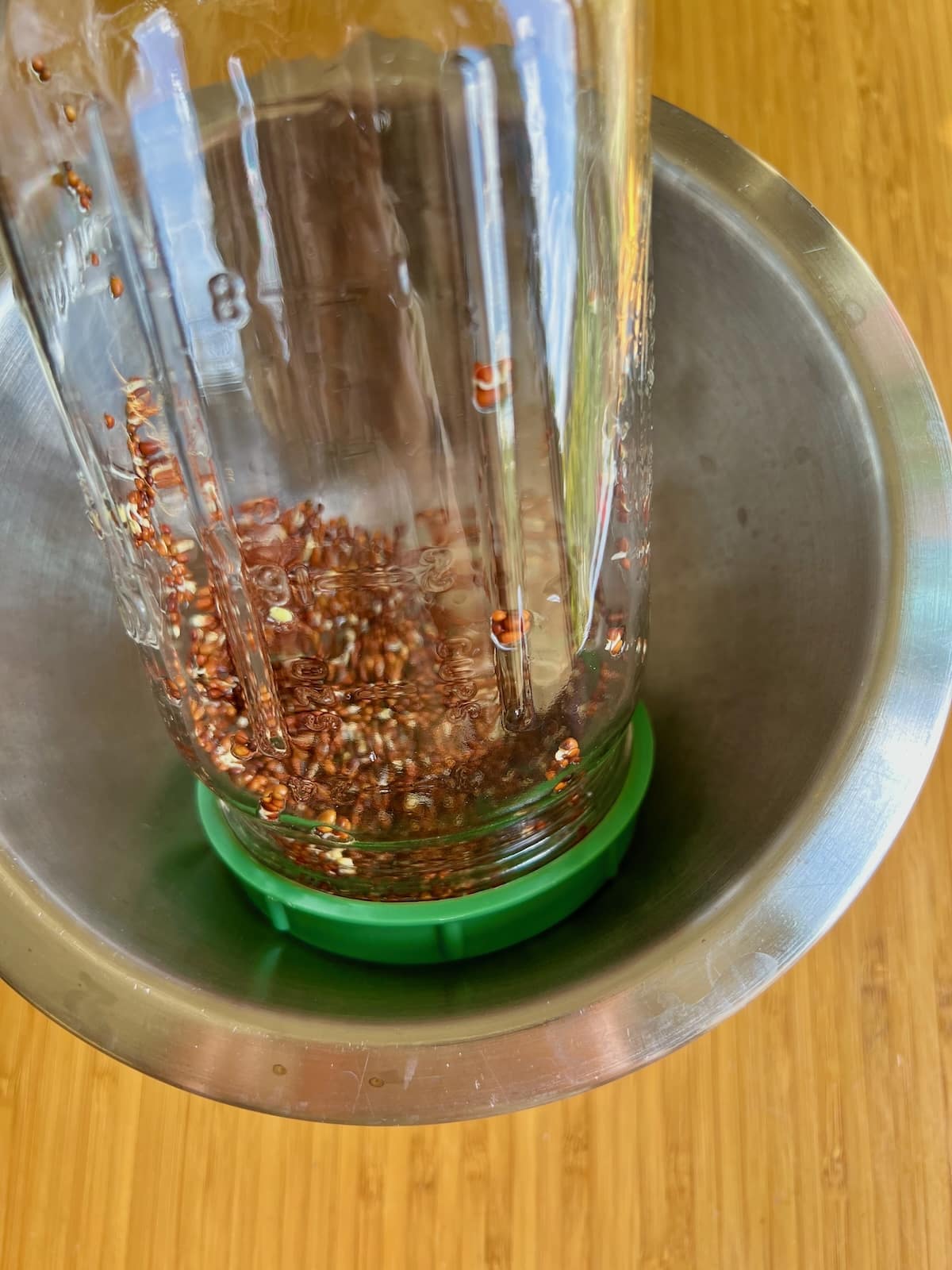 sprouting broccoli seeds in jar upside down.