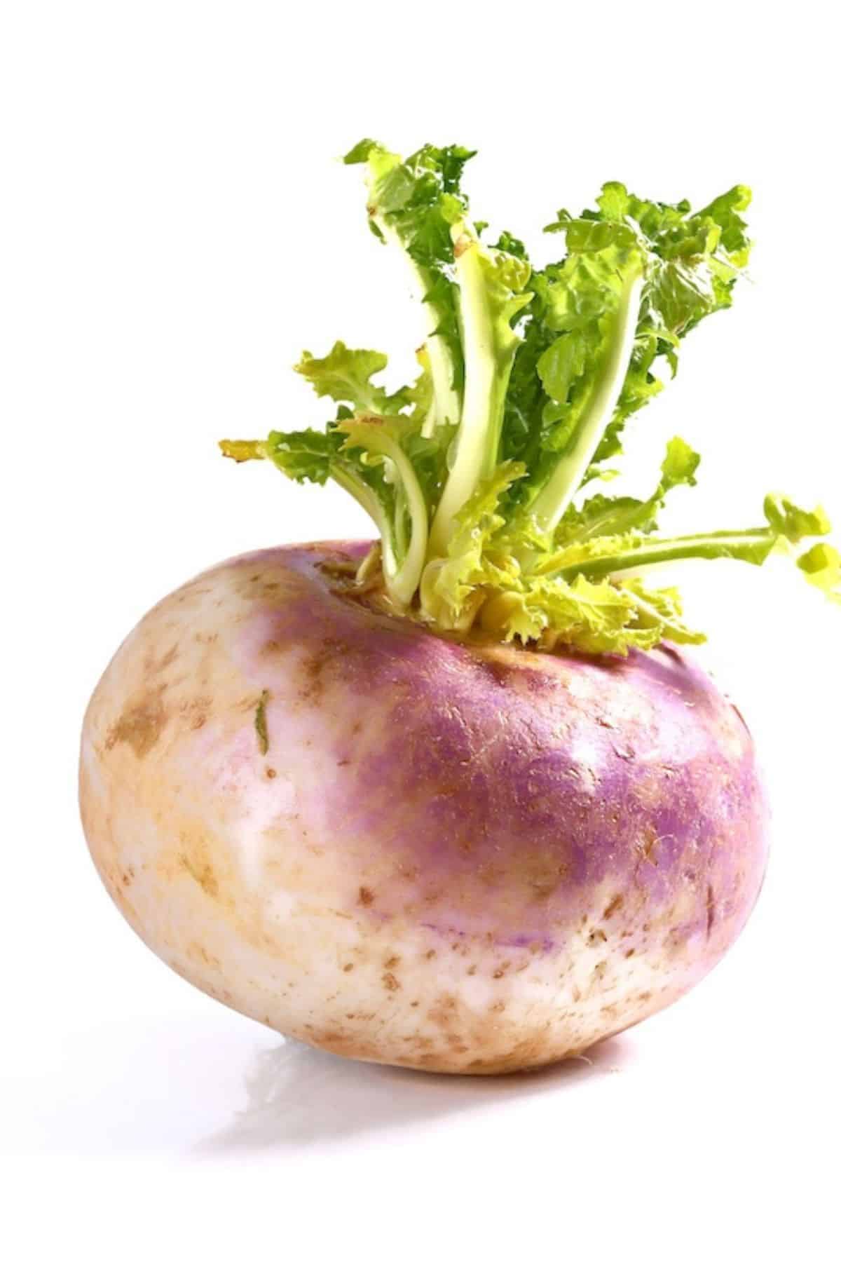 turnip with greens attached,